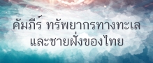 Relateds Banner Slider-68787005a55a6.jpg